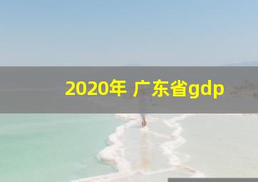 2020年 广东省gdp